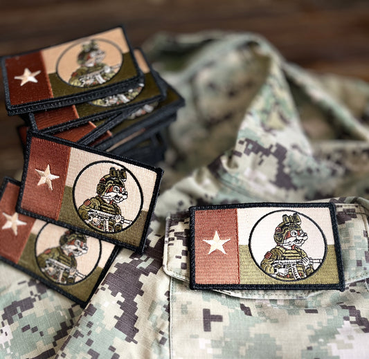 Texas Expeditionary Patch